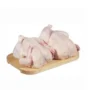 Whole Hard chicken