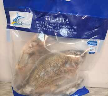 Frozen Tilapia (3pc)