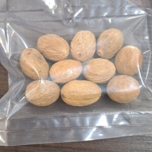 Nutmeg Seeds