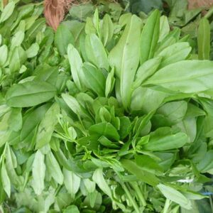 Water Leaves (Ngi-Ngia)